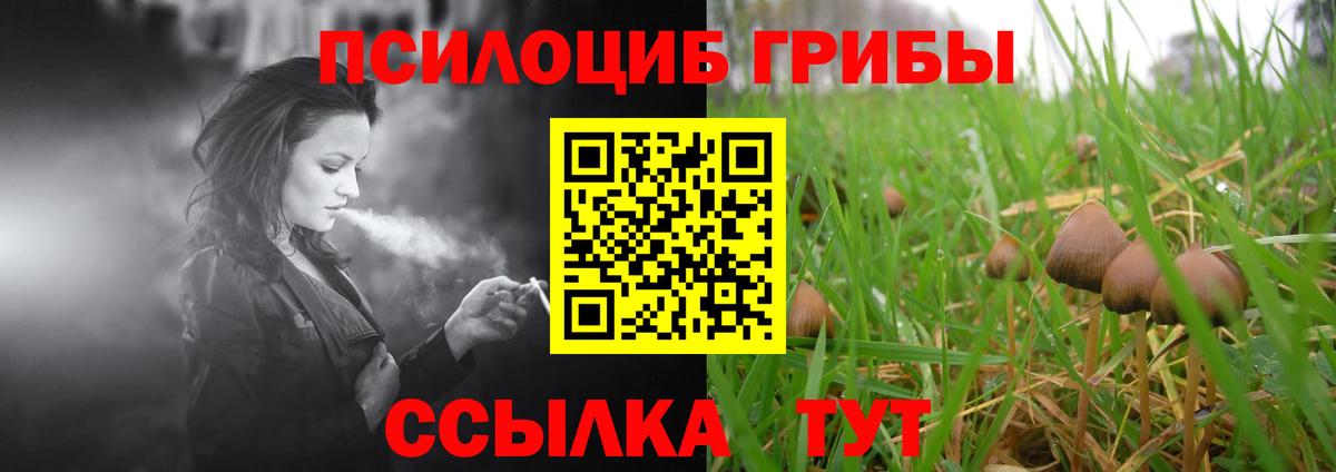 Псилоцибиновые грибы ЛСД  Вход с VPN  что такое наркотик  Псилоцибиновые грибы Cubensis  Кореновск 